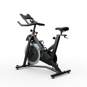 Horizon 5.0IC Indoor Cycle