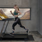 Horizon Evolve 3.0 Treadmill